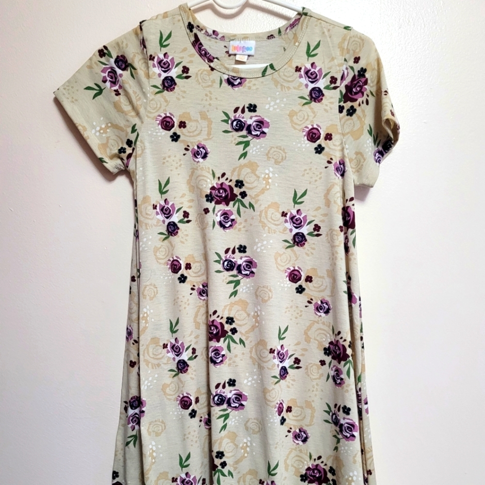 LuLaRoe Carly Dress